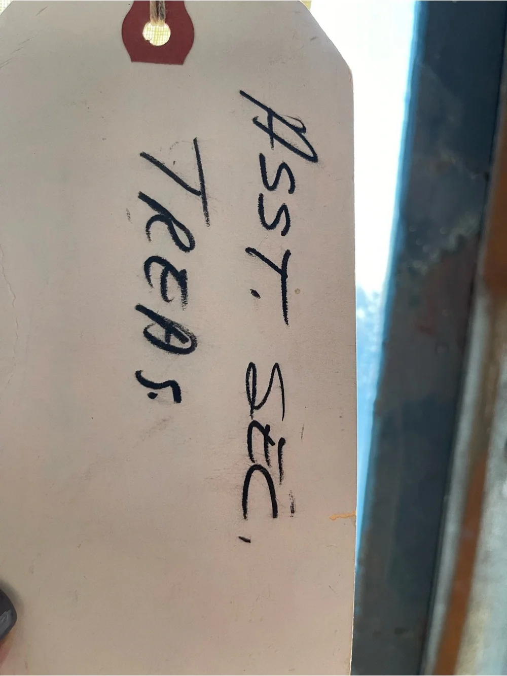 Vintage Assistant Secretary of the Treasury Flag #6 (3’ x 5’)